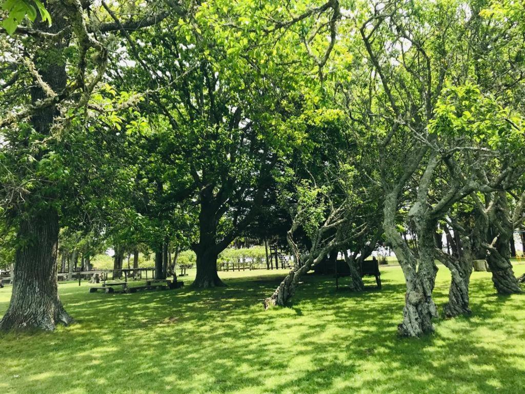 Complejo Turistico Flores Trinidad Exterior photo
