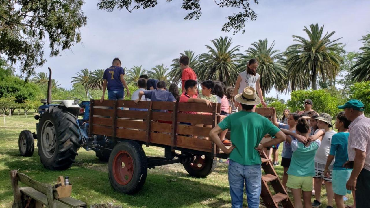Complejo Turistico Flores Trinidad Exterior photo